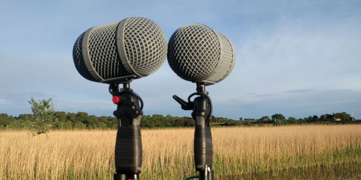 A Sound Recordist’s Dual Perspective Image